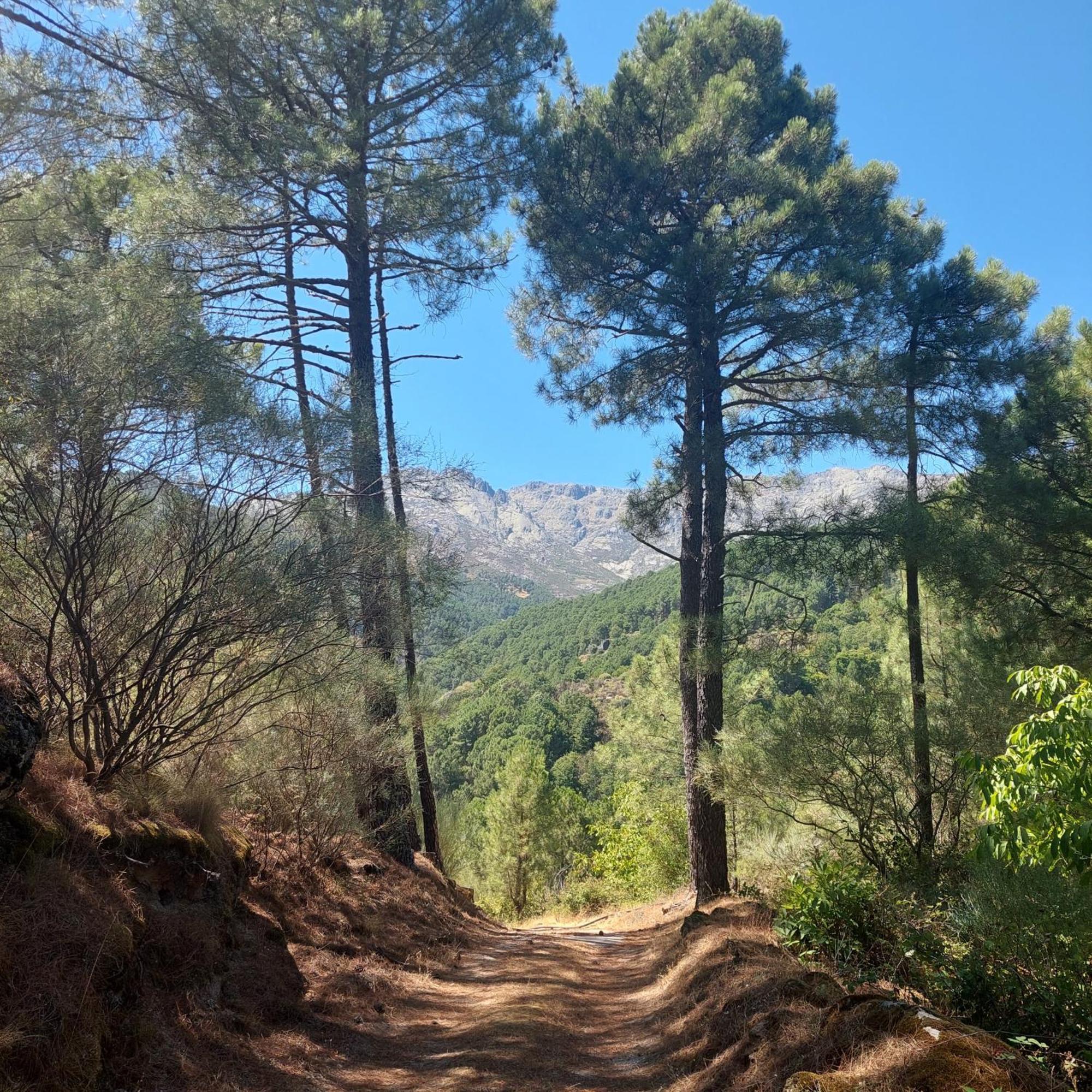 Puente Canto De Gredos Arenas de San Pedro Buitenkant foto